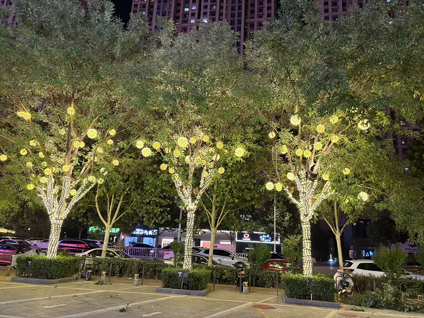 SENCO+���ʼҾ�����㳡������Ŀ